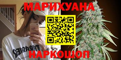 apvp Славгород