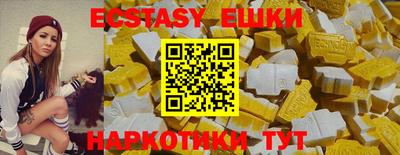 apvp Славгород
