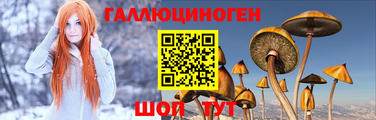 Галлюциногенные грибы Psilocybine cubensis  Вход с VPN  Новотроицк 