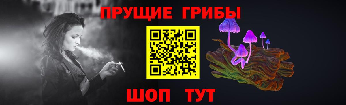 Галлюциногенные грибы GOLDEN TEACHER Новотроицк